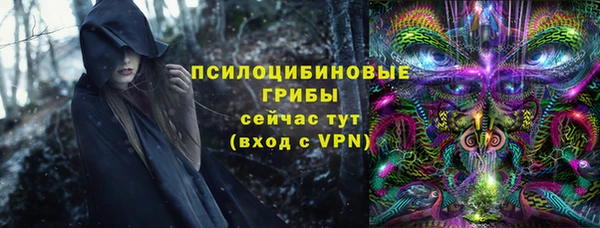 spice Белокуриха