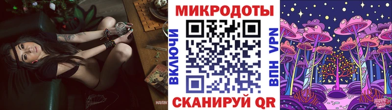 ссылка на мегу ссылки  Торопец  Псилоцибиновые грибы GOLDEN TEACHER  цена  
